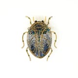 Trovelore-Brooch-Jeweled-Scarab-Beetle