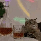 cat-booze