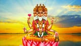 Brahma-1447819964