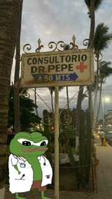 dr apu