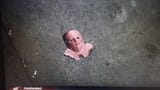 Mrs Doubtfire