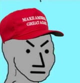 trumpnpcmad