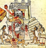 330px-Codex_Magliabechiano_%28141_cropped%29