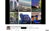 Because of this, Google had to prevent its software from categorizing anything in Photos as gorillas