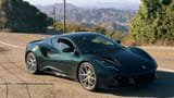 lotus
