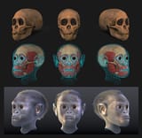 1663013716789
