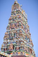 Indian rainbow eyesore 477632951#p477651626
