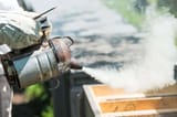 Bee-Smoker-2048x1367-2707547531