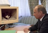 putin consulting with the chief mouser of the rosgvardia