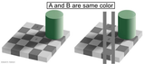 color illusion