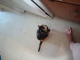 IMG_20250416_132223101