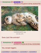 DoesPolLikeAnimals
