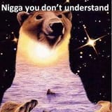 nigga you do not understand
