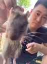 3ee6dd9061_1_thumb.jpg