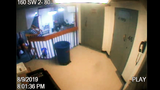 Screenshot 2025-07-07 at 14-15-34 video1.mp4