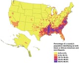 afro americans