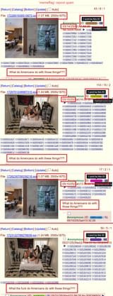 americans guns memeflag 2