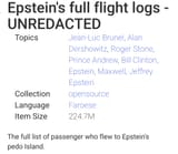 Epstein Flight Logs