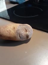 1683116660968778