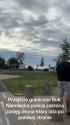 Poland Based-1942237712569741385-01_thumb.jpg