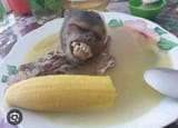 sopa-de-macaco
