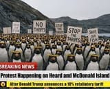 pingu