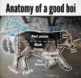 gudboi