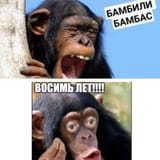 vosim let monke