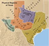 Map-PhysicalReg