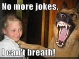 Best_Dog_Breed_Ever