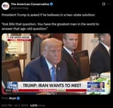 bibi
