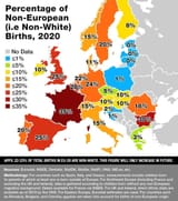 percentage-of-non-white-births-in-europe-in-2020-v0-vq5kde6vb2aa1