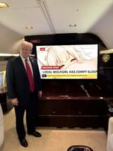 awoocomfy_tv