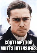 contempt