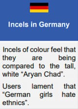 nigcel incel niggers