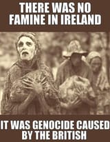 british-starved-the-irish