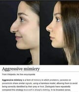 nose predator