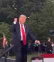 trump-dance-trump-2024_thumb.jpg