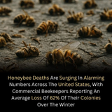 Honeybee deaths