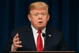 Fetal Alcohol Trump