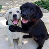 hug