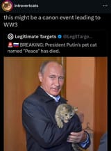 putins-cat-named-peace