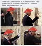 175146155441121676