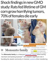 monsanto