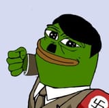 hitler punch