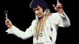 Tama-on-Elvis-0-e1731486416307
