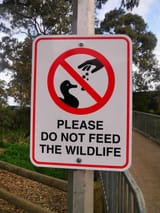 Do_not_feed_wildlife_-_Miles_Creek