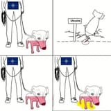 sdfgsdf