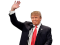 tiny-Trump-waves