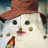 cat_Aus1
